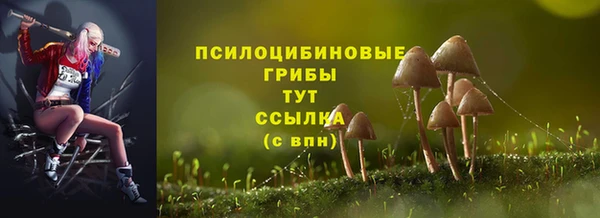 apvp Баксан